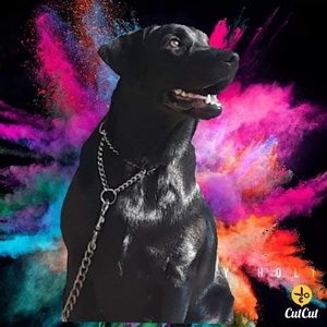 Meet your Posher, Ramola